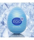 CAIXA COM 6 MASTURBADORES TENGA EGG WAVY COOL EDITION