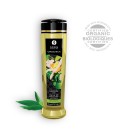 SHUNGA MASSAGE OIL ORGANICA GREEN TEA 240ML