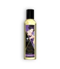 SHUNGA FRUITY KISSES COLLECTION