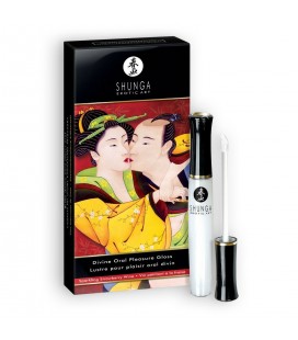 6 PACK SHUNGA DIVINE ORAL PLEASURE GLOSS CHAMPAGNE STRAWBERRY 10ML