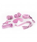 CRUSHIOUS DUNGEONS & MAIDENS BDSM KIT PINK