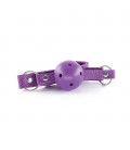 CRUSHIOUS DUNGEONS & MAIDENS BDSM KIT PURPLE