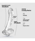 HUDINI DILDO ANAL JELLY TRANSPARENTE CRUSHIOUS