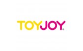 TOYJOY